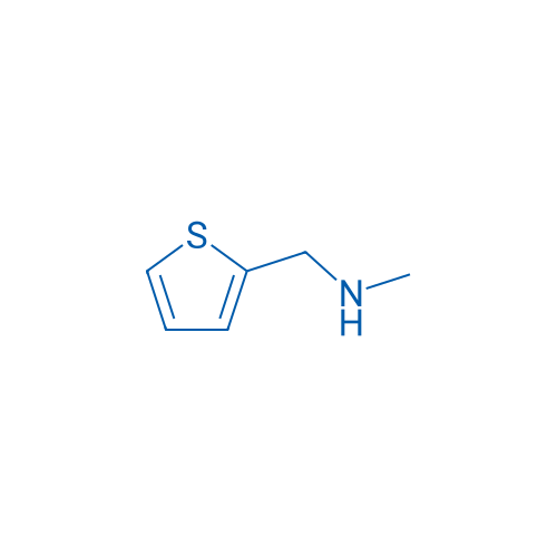 N-Methyl-1-(thiophen-2-yl)methanamine 1g