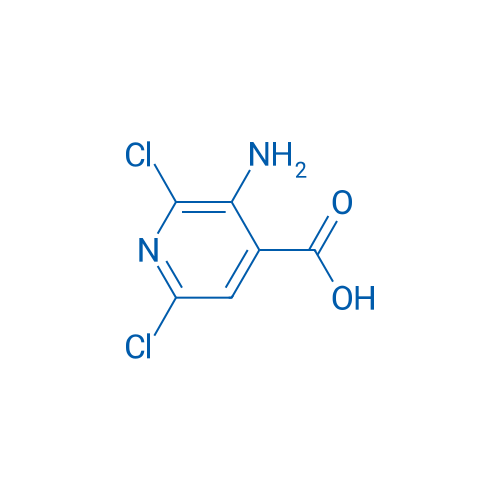 3-Amino-2,6-dichloroisonicotinic acid 1g