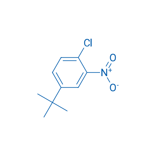 4-(tert-Butyl)-1-chloro-2-nitrobenzene 1g