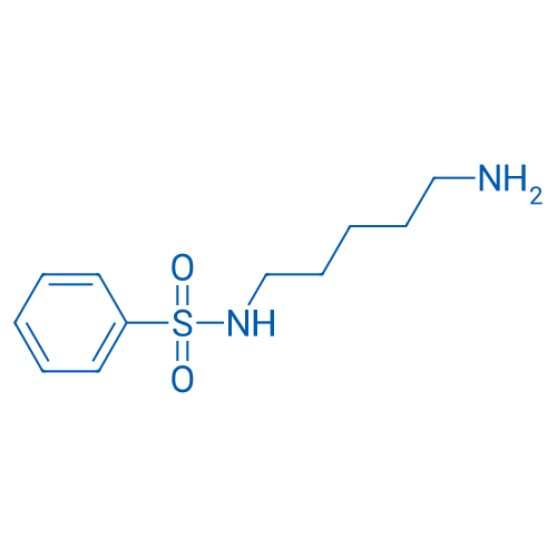 N-(5-Aminopentyl)benzenesulfonamide 250mg
