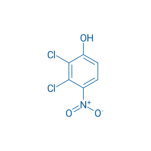 2,3-Dichloro-4-nitrophenol 1g