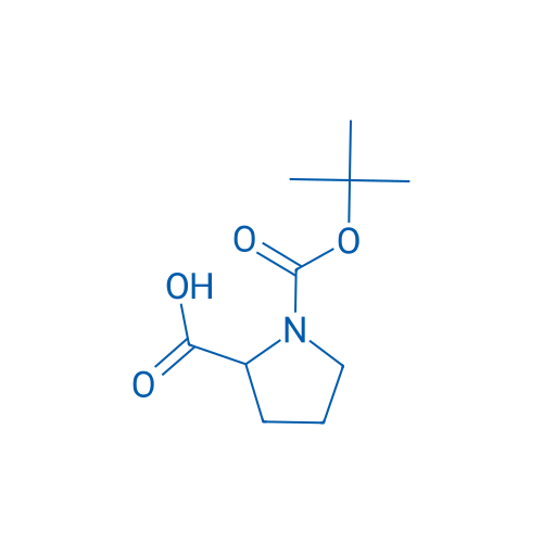 Boc-DL-Pro-OH 10g