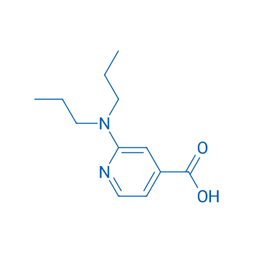 2-(Dipropylamino)isonicotinic acid 1g