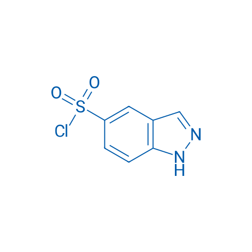 1H-Indazole-5-sulfonyl chloride 100mg