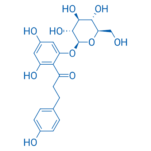 Phlorizin 10g