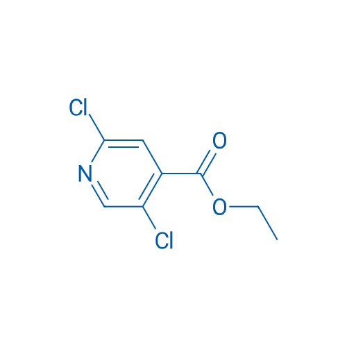 Ethyl 2,5-dichloroisonicotinate 250mg