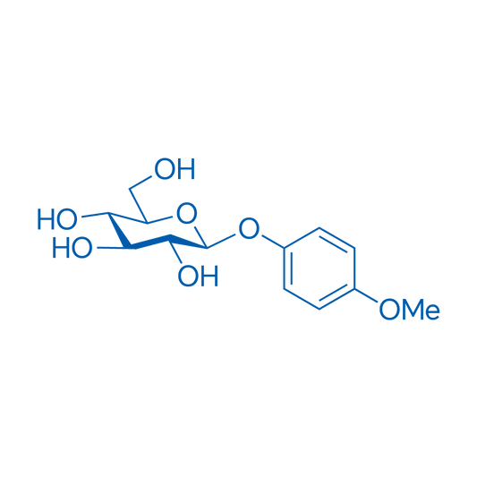 Methylarbutin 1g