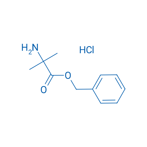 H-Aib-OBzl·HCl 25g
