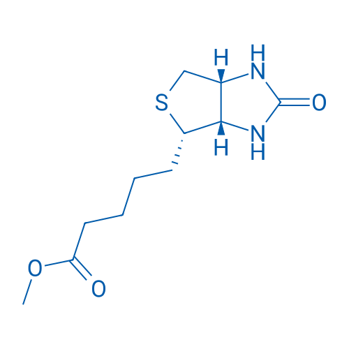 (+)-Biotin methyl ester 100mg