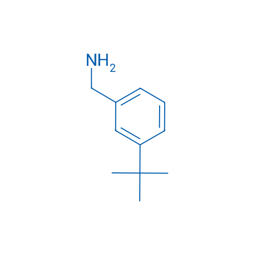 (3-(tert-Butyl)phenyl)methanamine 250mg