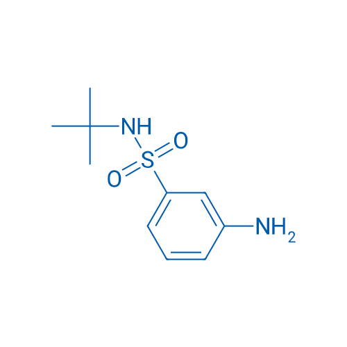 N-tert-Butyl 3-Aminophenylsulfonamide 1g