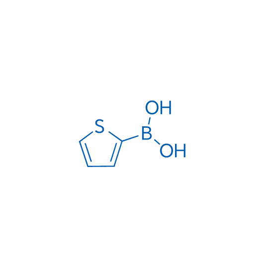 Thiophen-2-ylboronic acid 10g