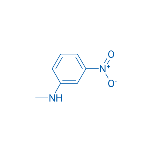 N-Methyl-3-nitroaniline 5g