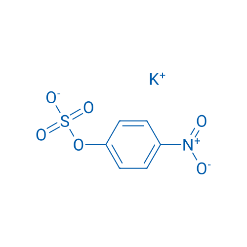 Potassium 4-nitrophenyl sulfate 250mg