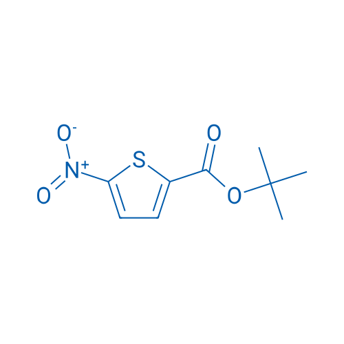 tert-Butyl 5-nitrothiophene-2-carboxylate 25g