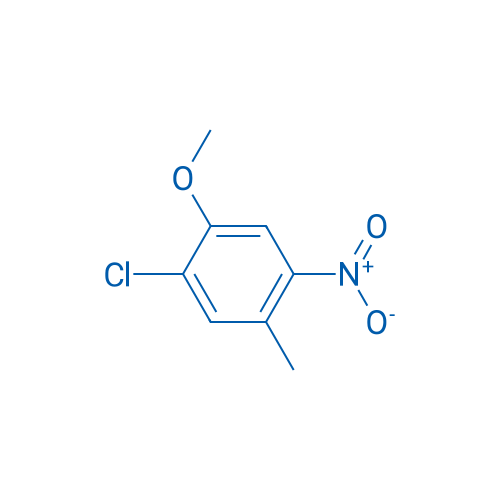 1-Chloro-2-methoxy-5-methyl-4-nitrobenzene 10g