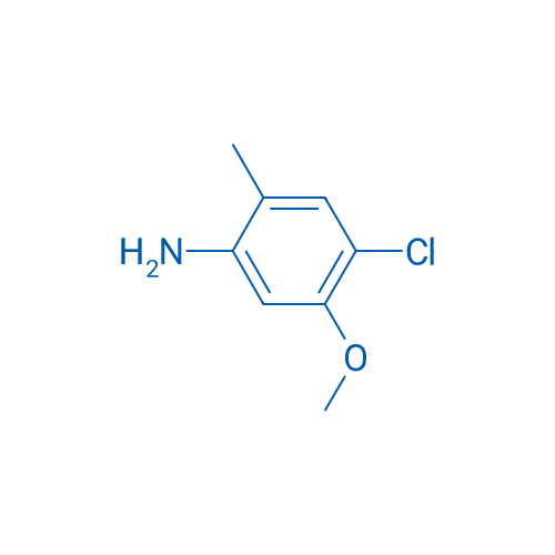 4-Chloro-5-methoxy-2-methylaniline 250mg