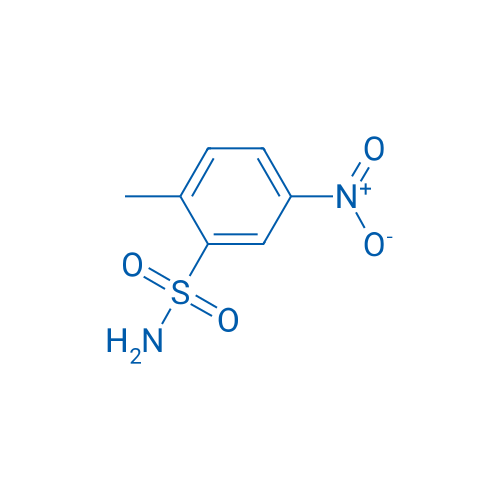 2-Methyl-5-nitrobenzenesulfonamide 25g