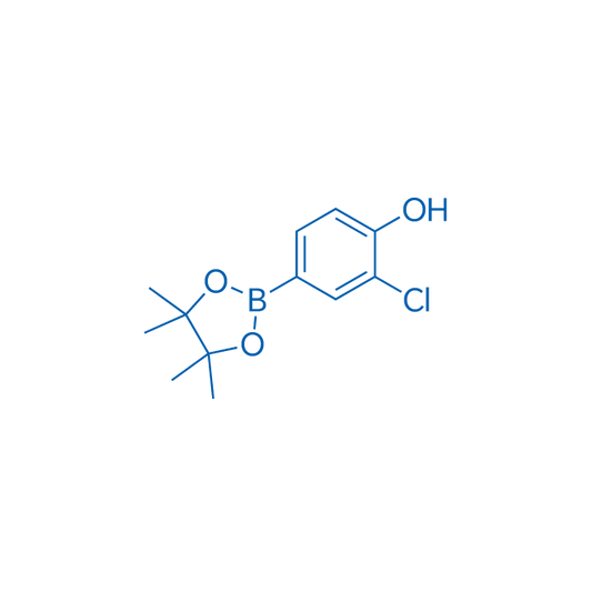 3-Chloro-4-hydroxyphenylboronic acid, pinacol ester 1g