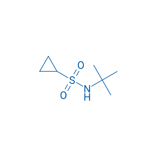 N-(tert-Butyl)cyclopropanesulfonamide 250mg