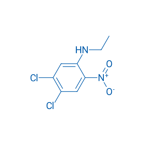 4,5-Dichloro-N-ethyl-2-nitroaniline 1g