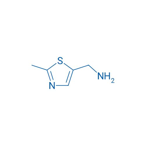 (2-Methylthiazol-5-yl)methanamine 10g