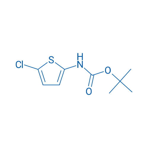 tert-Butyl (5-chlorothiophen-2-yl)carbamate 1g