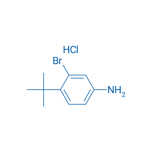 3-Bromo-4-(tert-butyl)aniline hydrochloride 250mg