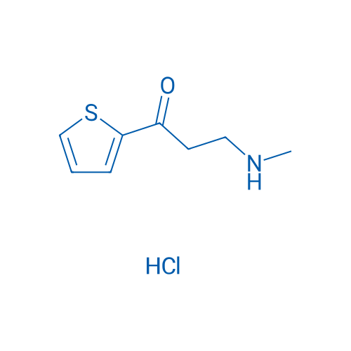 3-(Methylamino)-1-(thiophen-2-yl)propan-1-one hydrochloride 1g