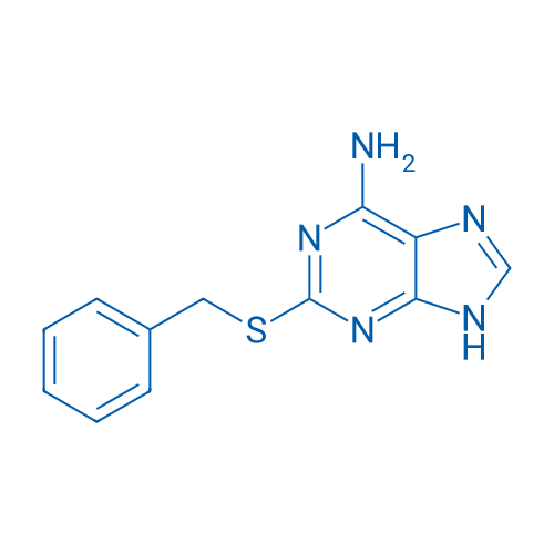 2-(Benzylthio)-9H-purin-6-amine 250mg