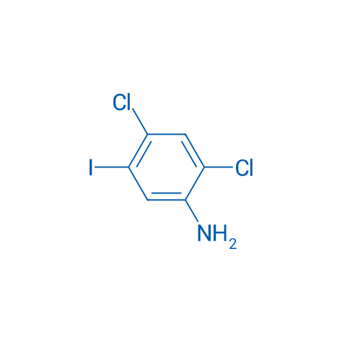 2,4-Dichloro-5-iodoaniline 100mg