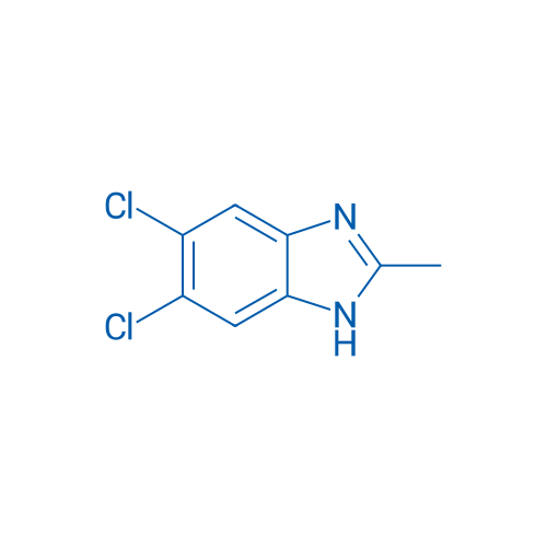 5,6-Dichloro-2-methylbenzimidazole 25g