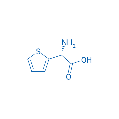 H-α-(2-Thienyl)-Gly-OH 100mg