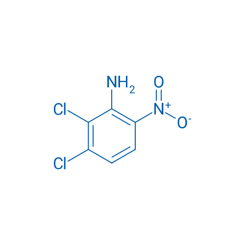 2,3-Dichloro-6-nitroaniline 100mg