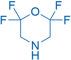 2,2,6,6-Tetrafluoromorpholine 250mg
