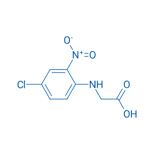 2-[(4-Chloro-2-nitrophenyl)amino]acetic acid 1g