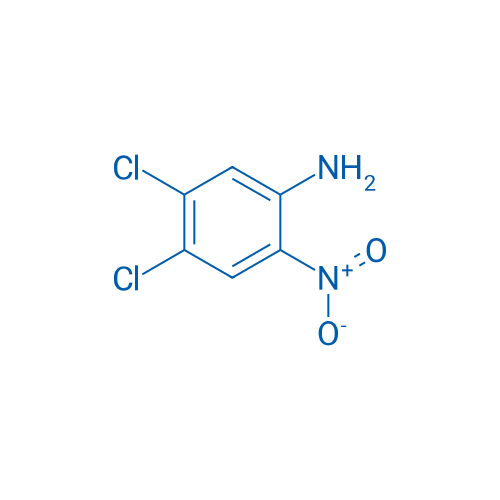 4,5-Dichloro-2-nitroaniline 10g