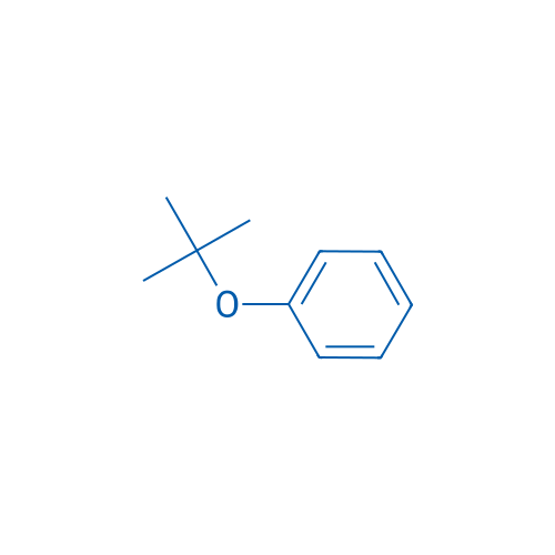 tert-Butoxybenzene 1g