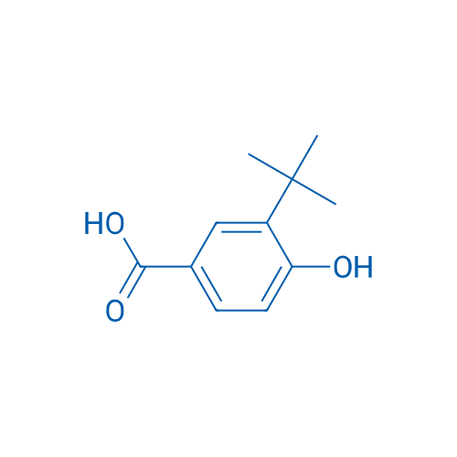 3-(tert-Butyl)-4-hydroxybenzoic acid 25g