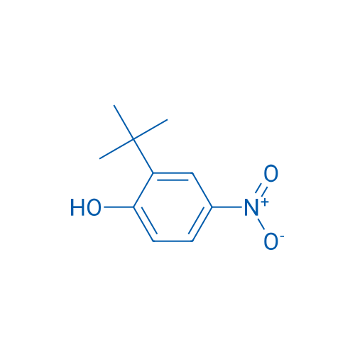 2-(tert-Butyl)-4-nitrophenol 100mg