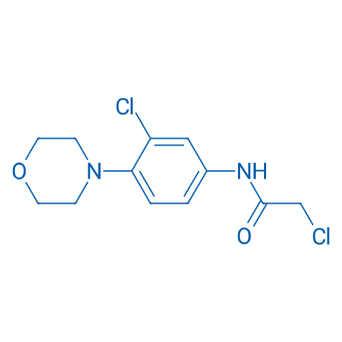 2-Chloro-N-(3-chloro-4-morpholinophenyl)acetamide 5g