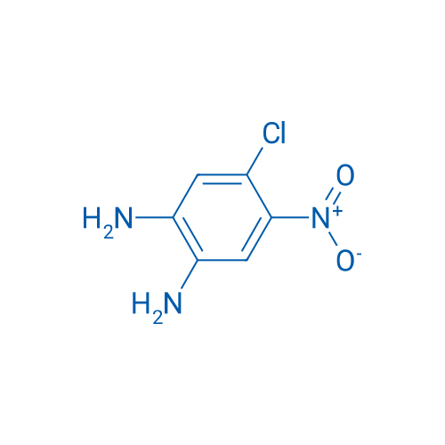 4-Chloro-5-nitrobenzene-1,2-diamine 1g