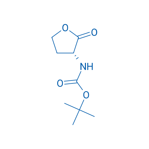 Boc-D-Homoserine lactone 25g