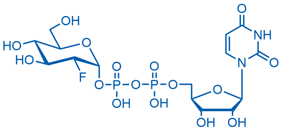 UDP-2-deoxy-2-fluoro-D-glucose sodium salt 100mg