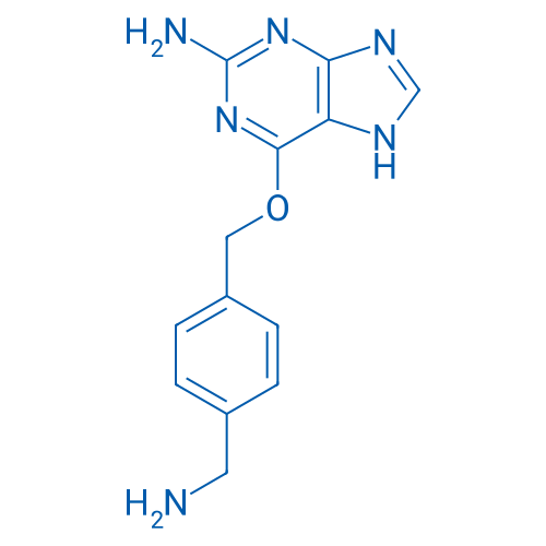 6-((4-(Aminomethyl)benzyl)oxy)-7H-purin-2-amine 10g