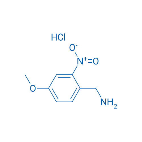 (4-Methoxy-2-nitrophenyl)methanamine hydrochloride 1g