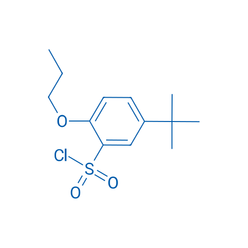 5-(tert-Butyl)-2-propoxybenzene-1-sulfonyl chloride 250mg
