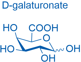 D-Galacturonic acid 1g