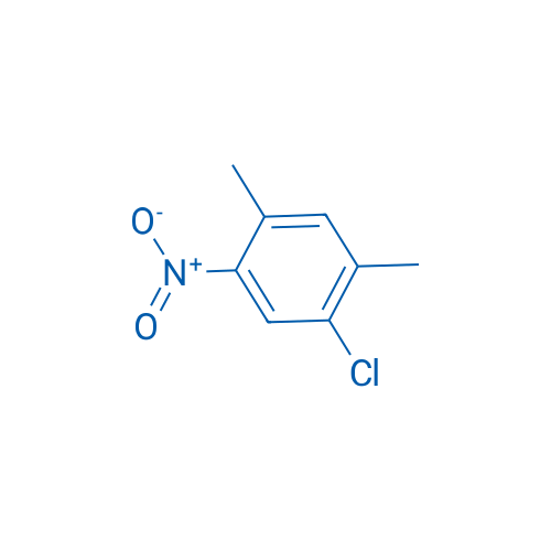 1-Chloro-2,4-dimethyl-5-nitrobenzene 10g