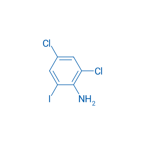 2,4-Dichloro-6-iodoaniline 25g